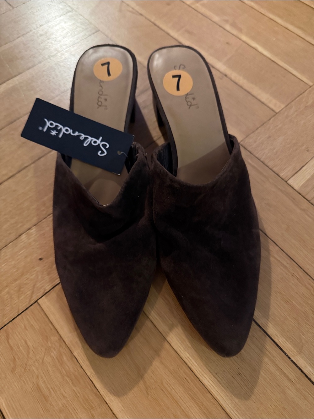 Splendid Brown Suede Mule Heels
